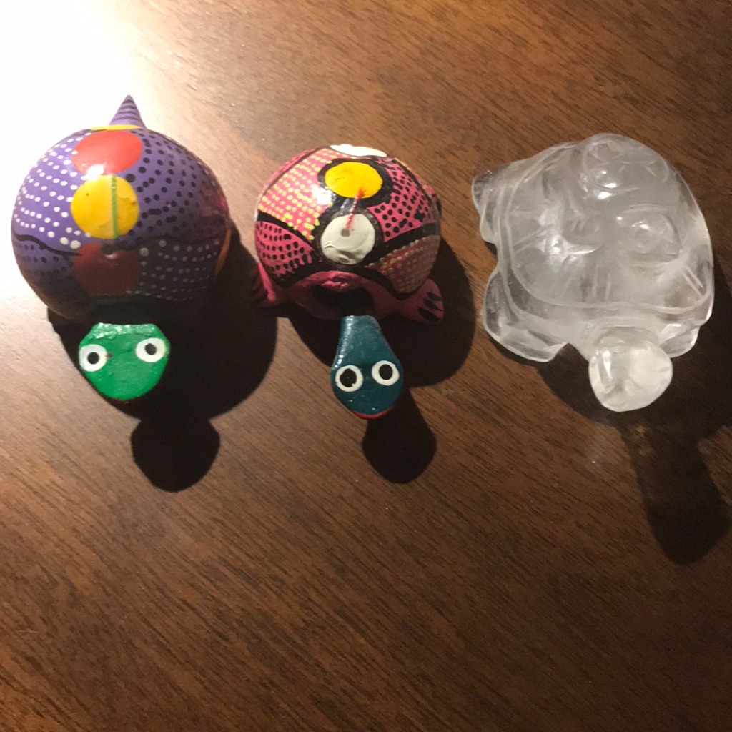 Turtle Trio